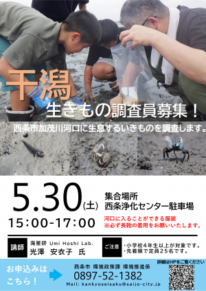 干潟調査チラシ