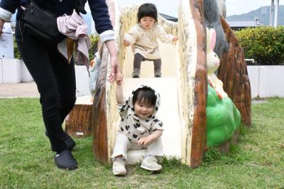 動物のすべり台