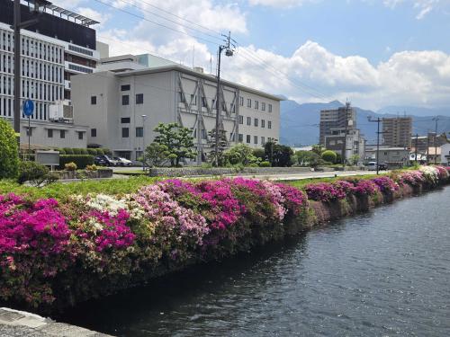 お堀つつじ満開