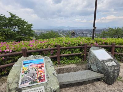 市民の森つつじ散り始め