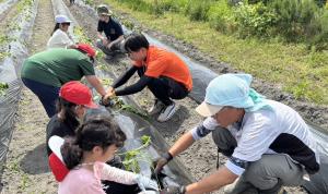 頑張る農家への支援