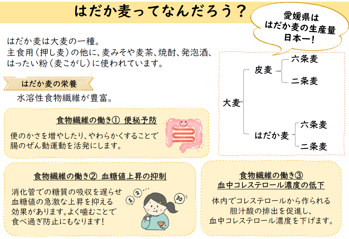 はだか麦って何だろう