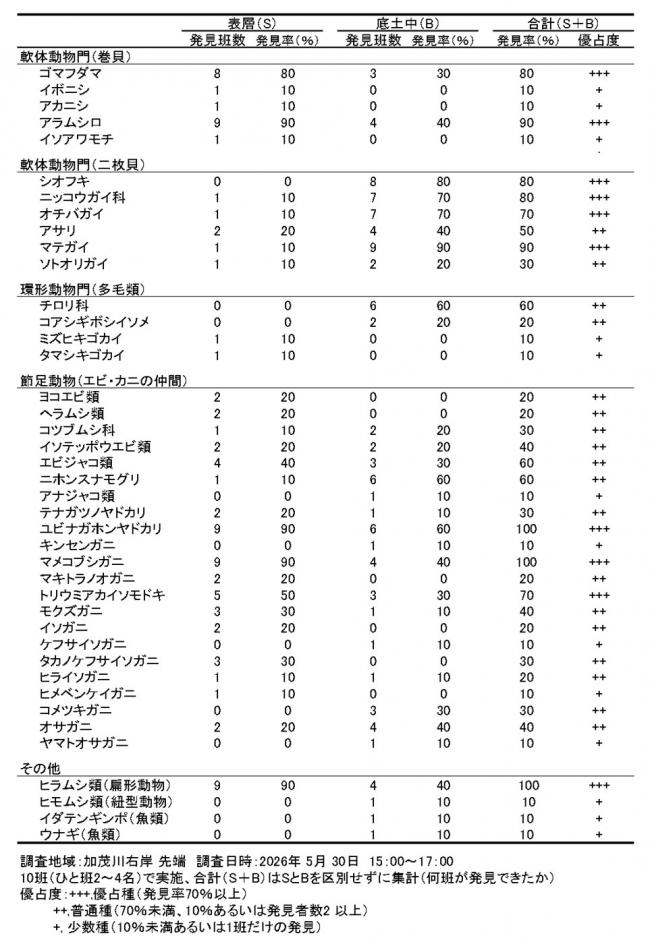 調査結果