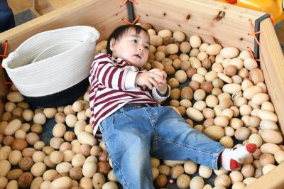 木の玉プールに飛び込んだ