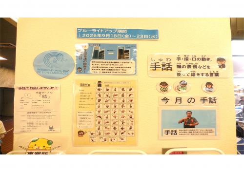 展示内容