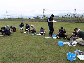 生き物観察